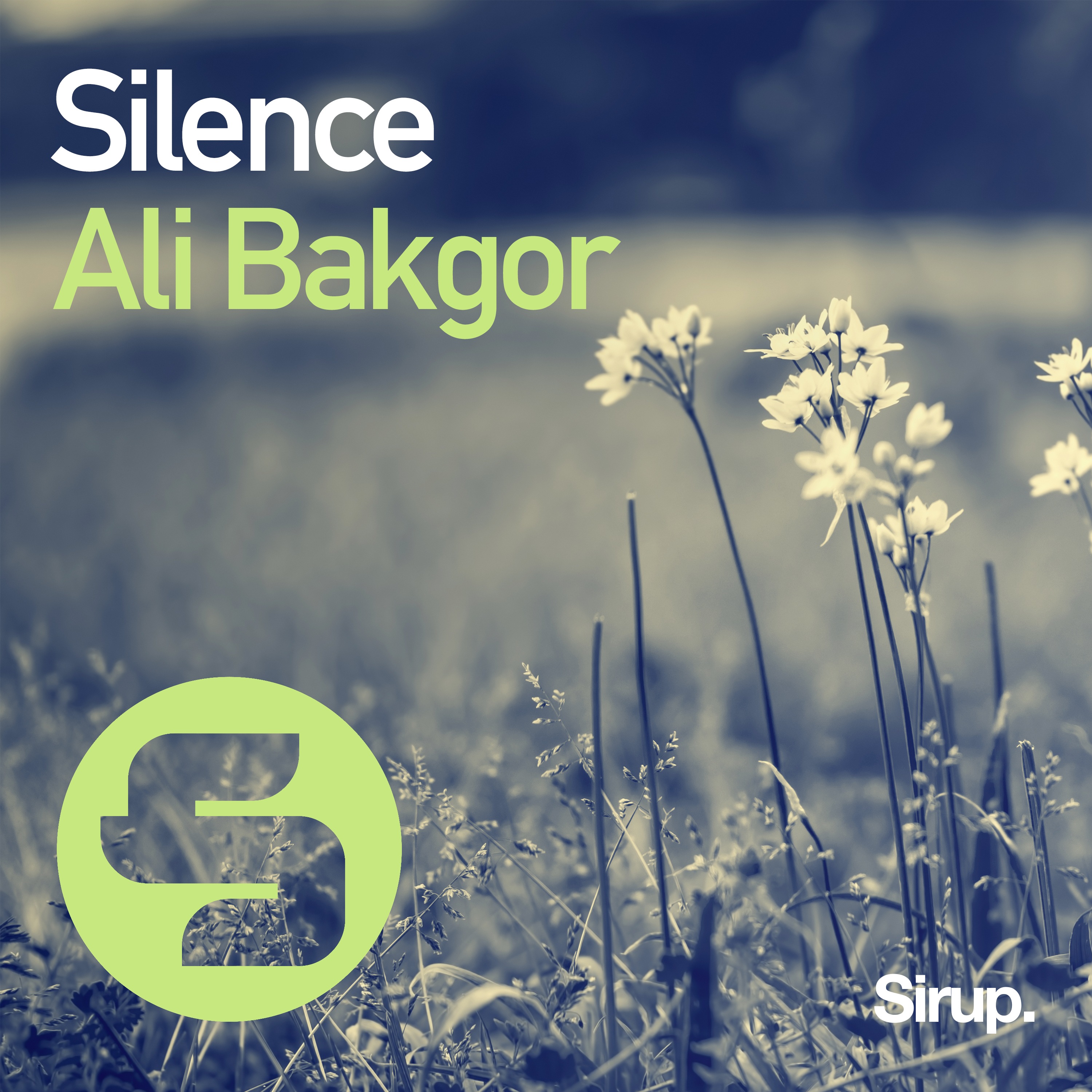 Silence original mix